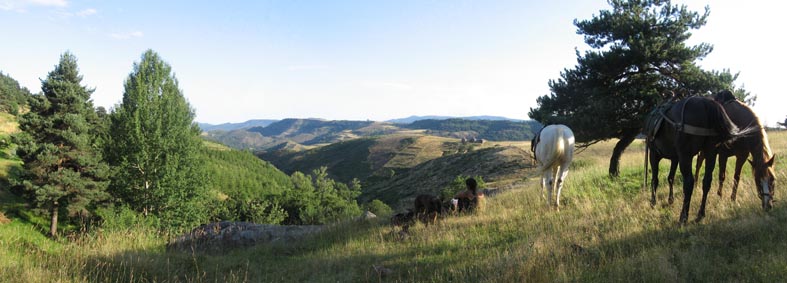 1 mois dans la Lozère (et Gard, Aveyron, etc...) Pano110