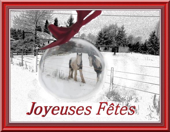 Les urnes sont ouvertes... Montages fêtes de fin d'année... Copie_24