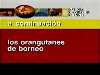 Graficas de National Geographic Channel - 2000 P21_na10
