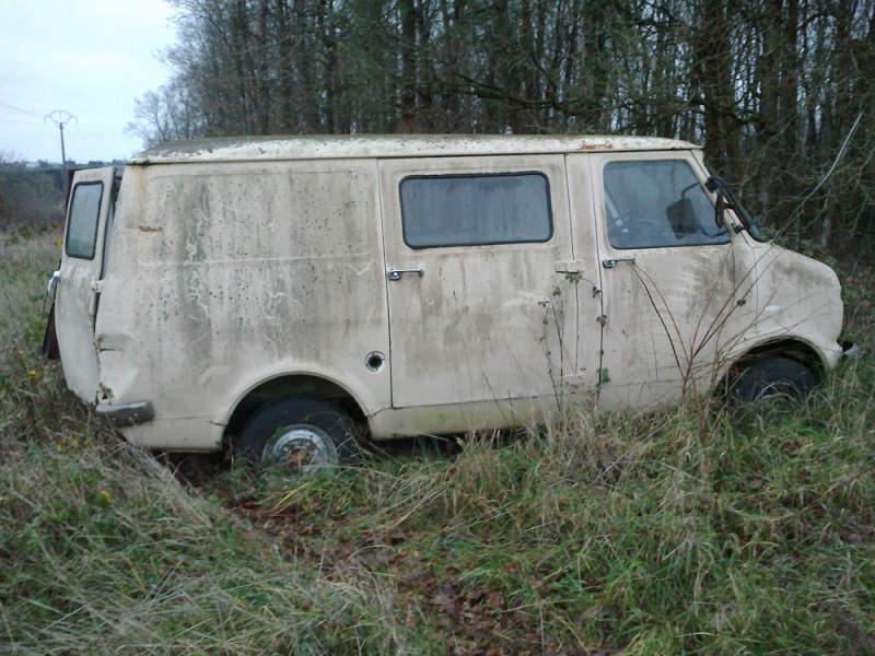 bedford 310