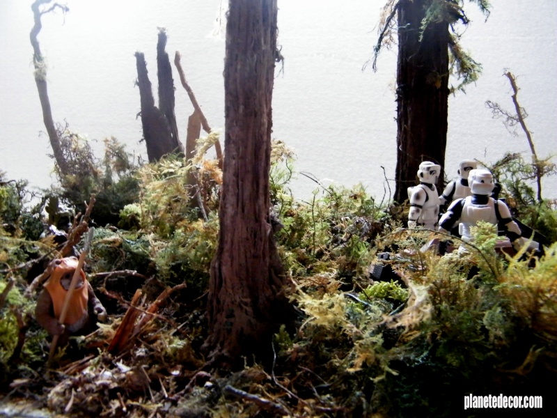 mes decors pour figurines starwars new décor Hasbro podracer - Page 3 Endor_13