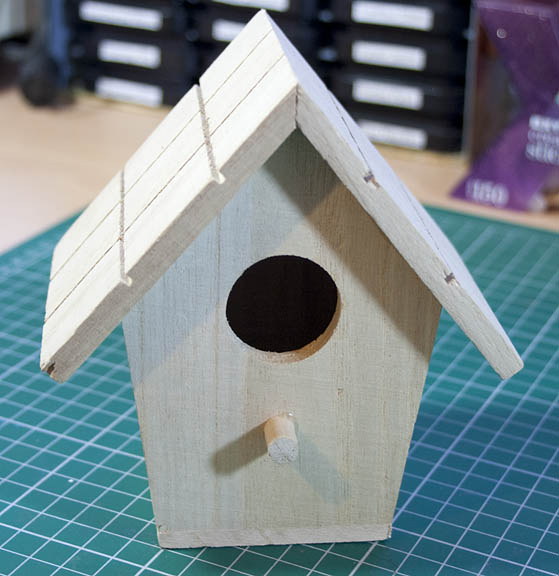 Bird House Blank10