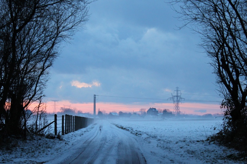 La neige chez moi... Img_0210