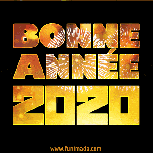 Mercredi 1er janvier 2020...BONNE ANNEE!!! 24370c10