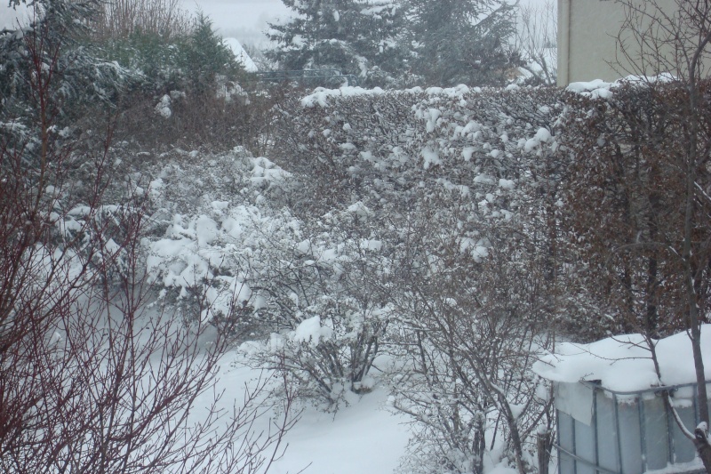 pole nord lyonnais....et il neige toujours !!! Dsc03831