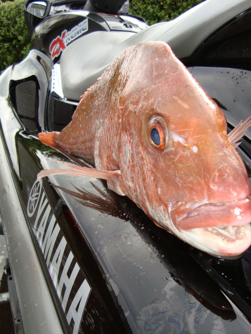 Jetskifishing- Wall of Fame 21110910