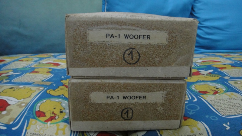 Ensemble PA-1 woofer driver unit (Nos) Dsc01510