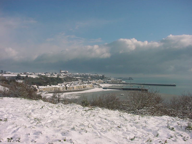 La neige est là... Dsc01411