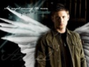 [Supernatural] Fanzone Dean-w10
