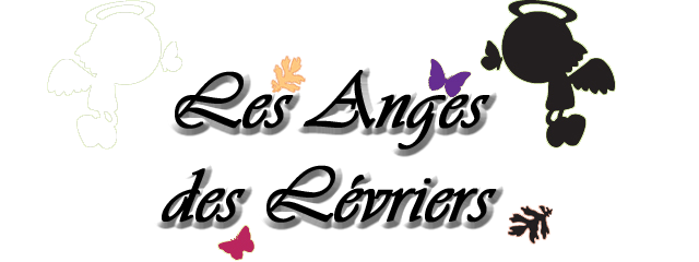 Les Anges des Lévriers