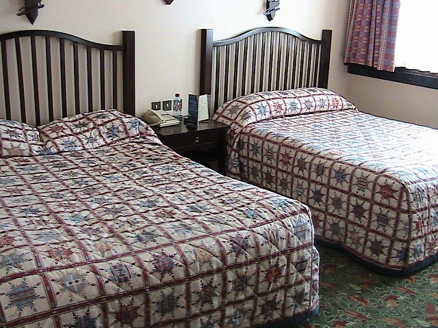 Disney's Sequoia lodges - Page 6 Photo130