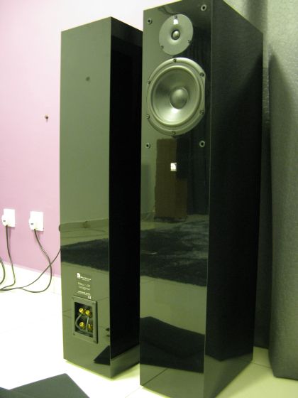 Audio Pro Black Diamond (v1) Speaker (Used)