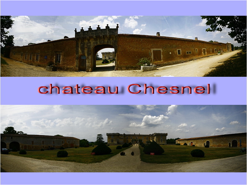 visite : 16 - Cherves-Richemont (cognac), chateau Chesnel - payant Chesne10