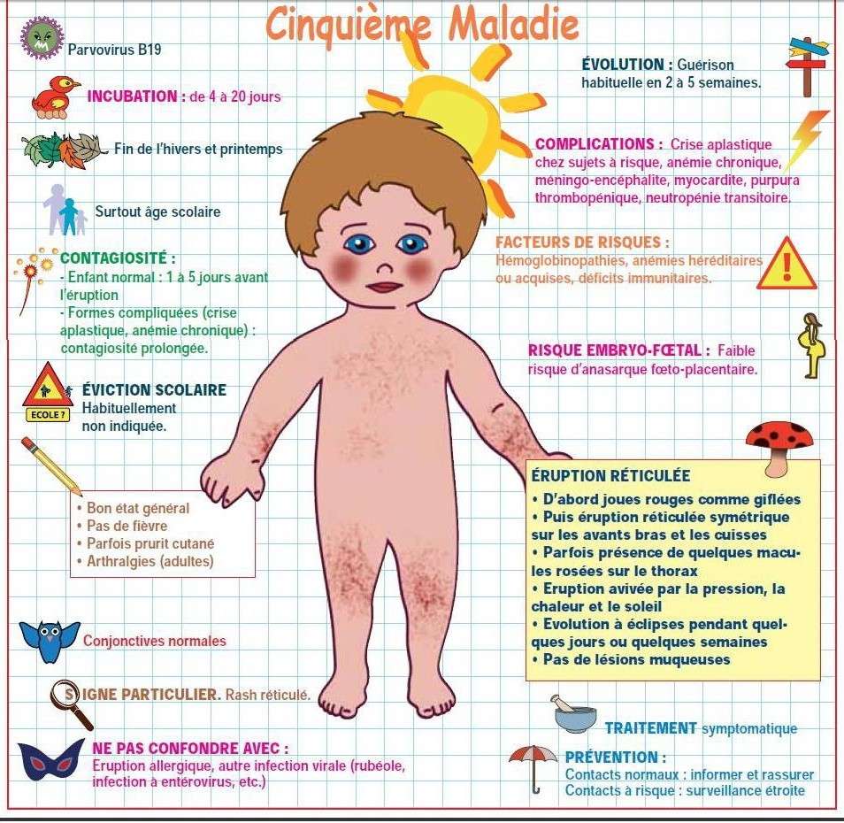 Pédiatrie Illustrée-La Cinquieme maladie 10-01-12