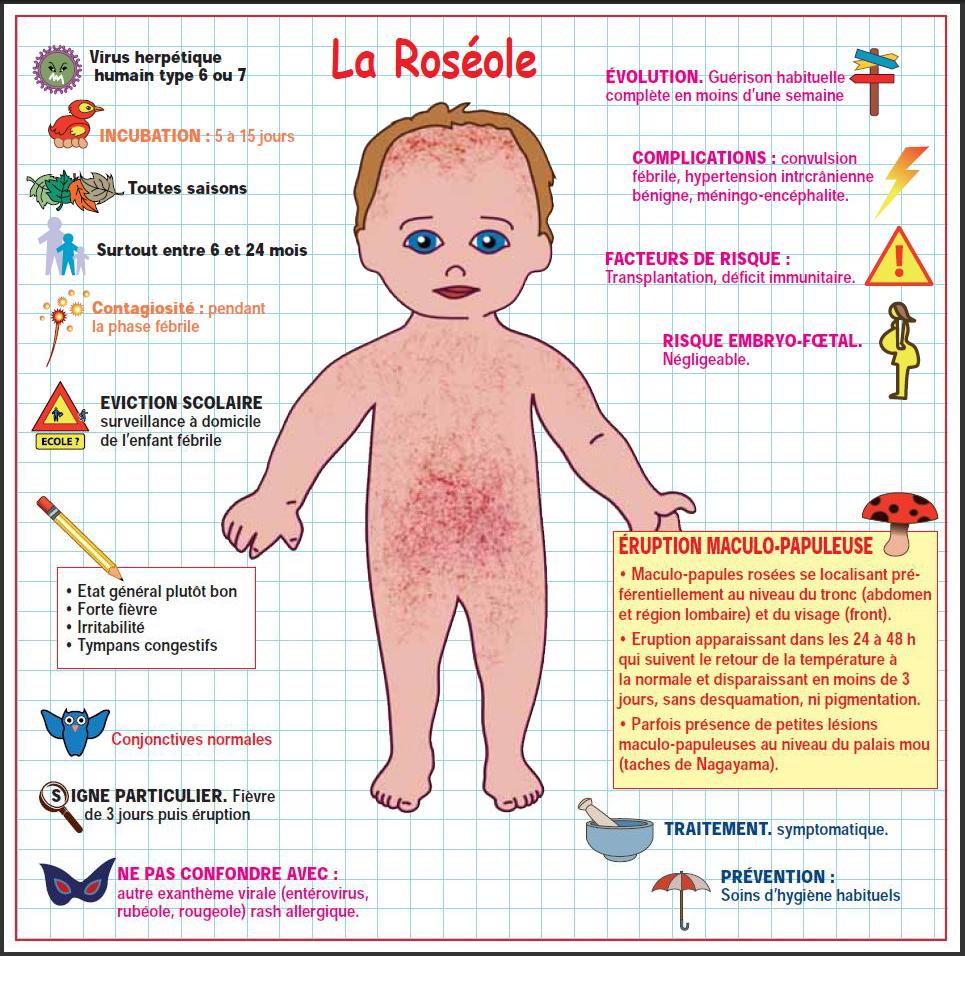 Pédiatrie Illustrée Roséole