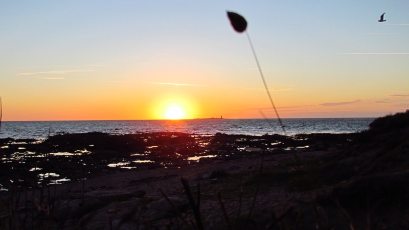 Vos plus beaux couchers de soleil Img_0310