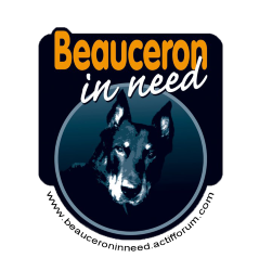 SANKO - mâle Beauceron - 2021 - En pension (Belgique) 3_logo10