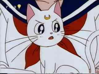 Partie 32 sailor moon info Arthem10