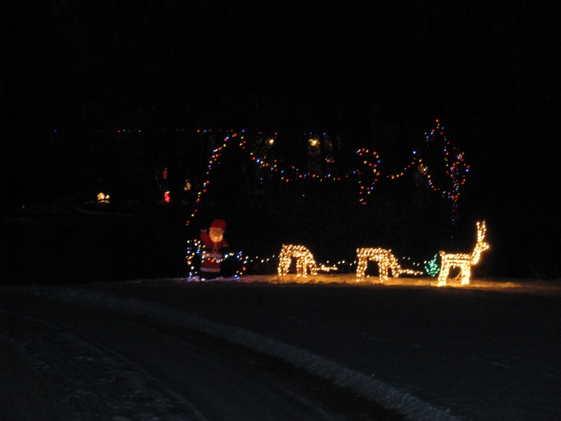 Merry Christmas - almost done putting up lights 2009_l11