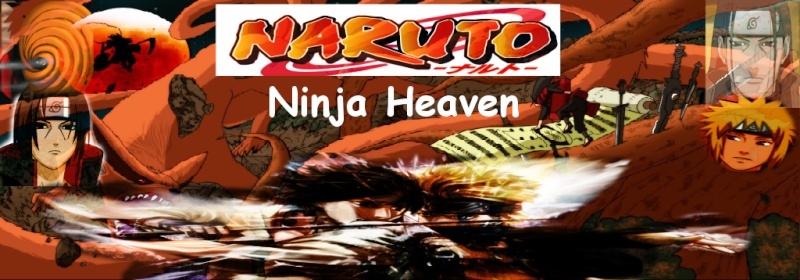 Ninja Ninja Banner10