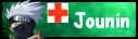 Jounin :: Medic