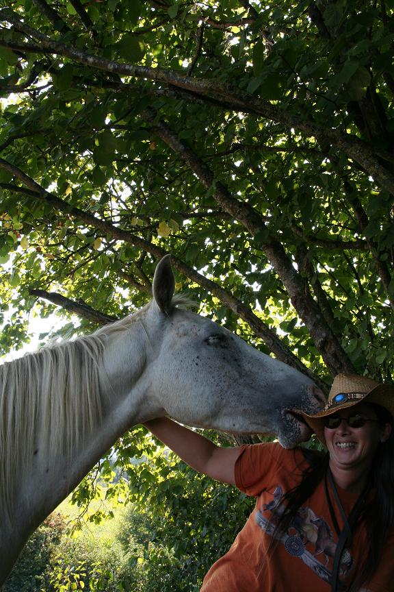 CONCOUR PHOTO: Les chevaux s'amusent... 08-09-11