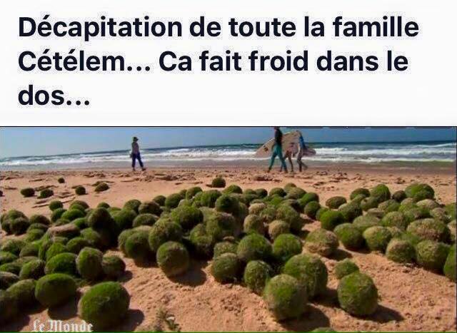 Petites blagues, juste pour rire / bis - Page 4 Cetele10