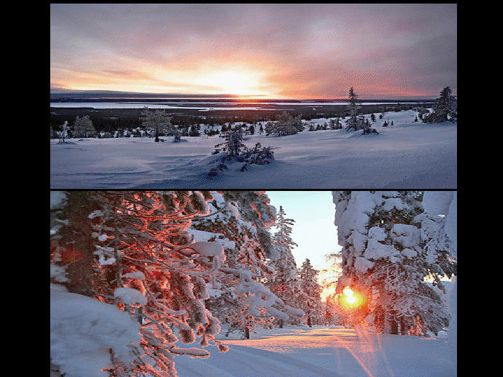 Petit voyage en Laponie      (Ninnenne) Viewer35