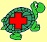 Les maladies principales chez les tortues Urg_bm11