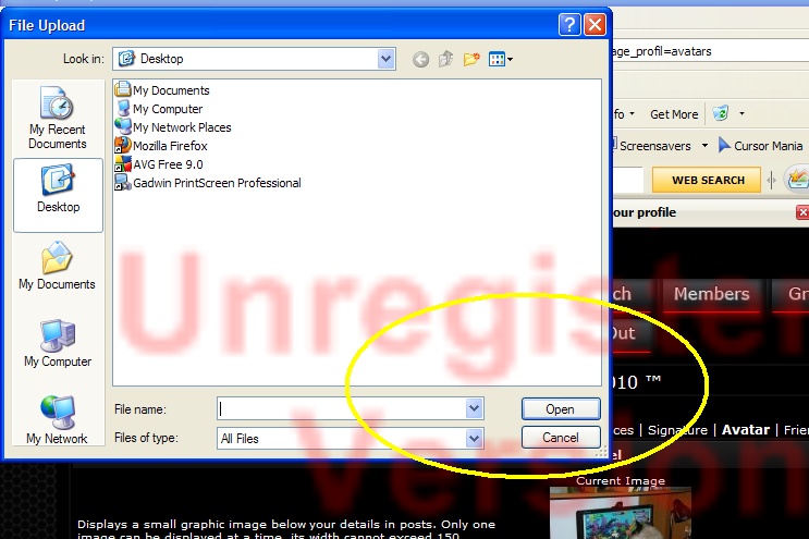 How to Change your Primary Photo in Forum? 3_bmp10