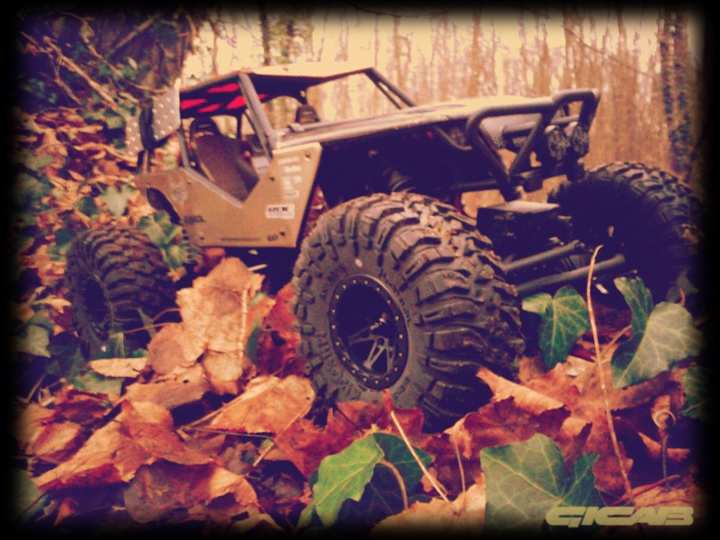 Axial wraith kit 2013-010