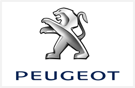 Informações Gerais da Peugeot Peugeo10