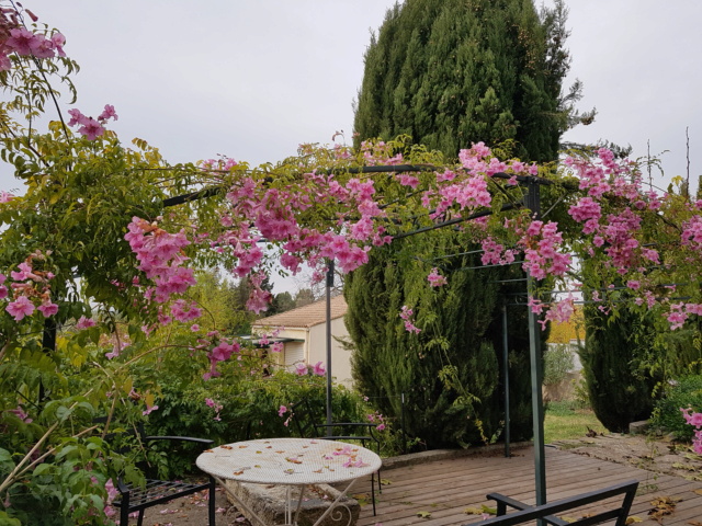 Jardin de Zina au Nord de Montpellier 20211110