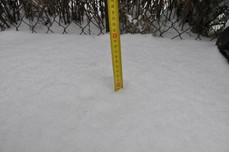 trop beau dans la neige à Fontainebleau le 20 et 21/01/2013 77486910