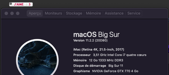 Mise a jour macOS Big Sur 11.2.1 (20D74) Captur29