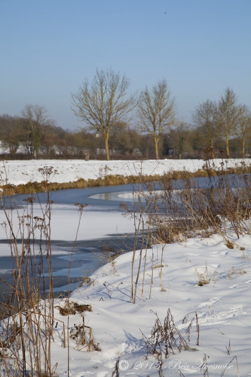 Canal de la Sambre à l'Oise à Landrecies sous la neige Baa21_13