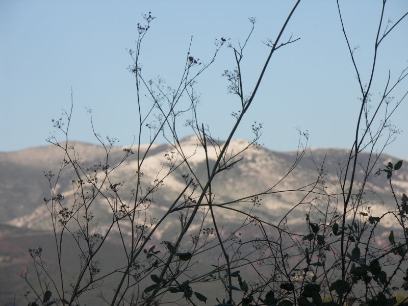 meteo - Page 6 Pict0015