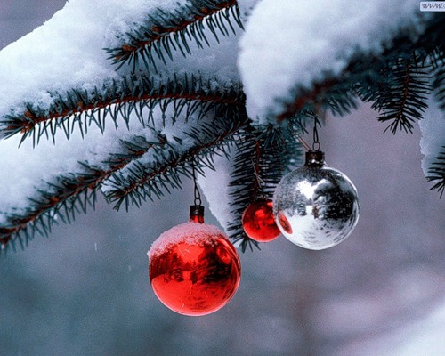 C Новым годом! Happy New Year! D_dddn10
