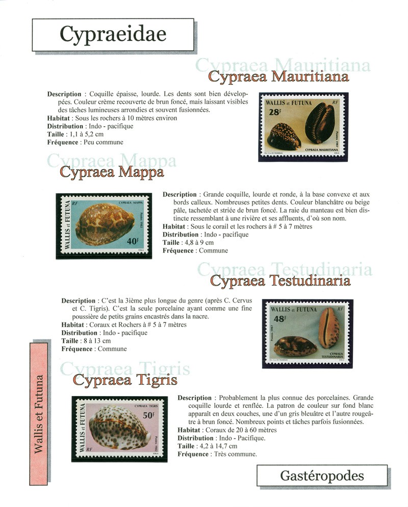 Les Timbres et les Coquillages - Page 2 Timbre12