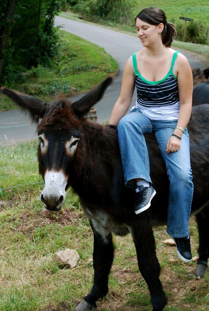 Galopin, un CKC pas comme les autres ^^ Dsc_0210