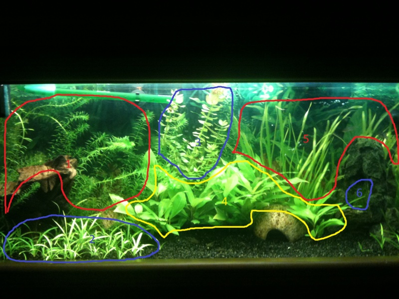 mon meuble aquarium (120 L ) [mise à jour le 30/12/2013] Img_1213