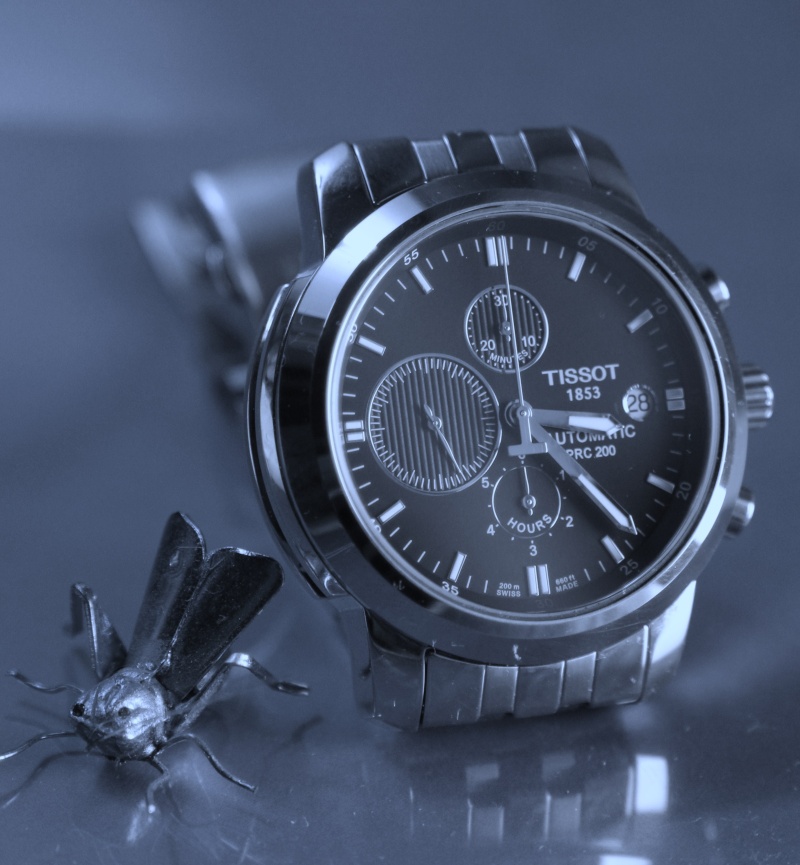 ****La montre du jour ! vol. 8**** - Page 3 Img_0713