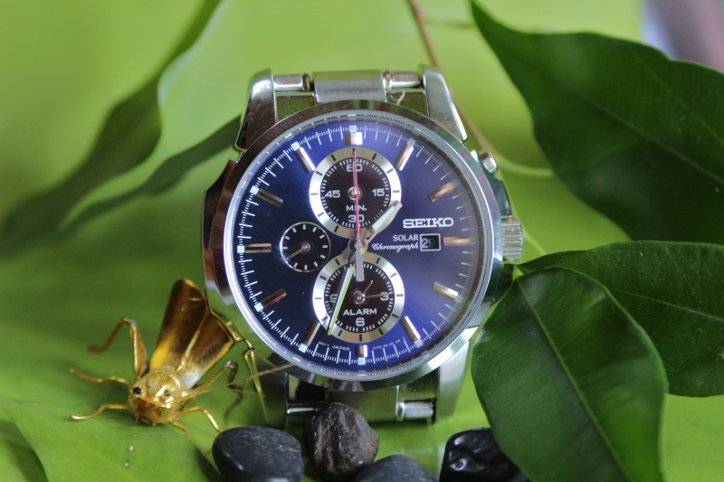****La montre du jour ! vol. 8**** - Page 4 Img_0723