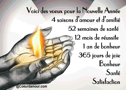 Bonne Année 2013 !!! 6c293212