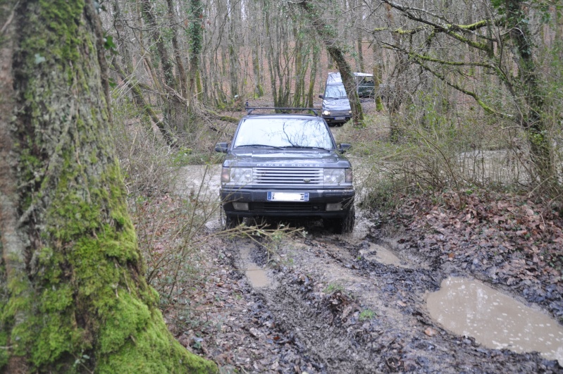 Sortie sur terrain du Favril (Eure et Loire) le 2 ou 3 février 2013 - Page 9 Dsc_8412