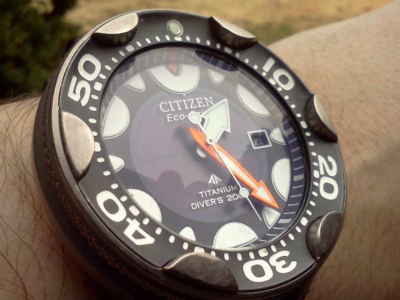 My "new" Citizen Orca Img_2049