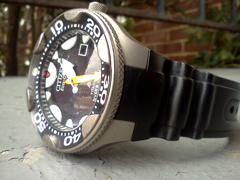 My "new" Citizen Orca Img_2053