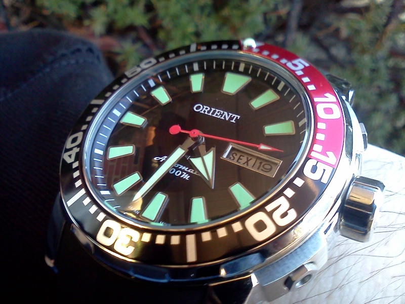 Orient Poseidon - the Brazilian Wax Watch Img_2104