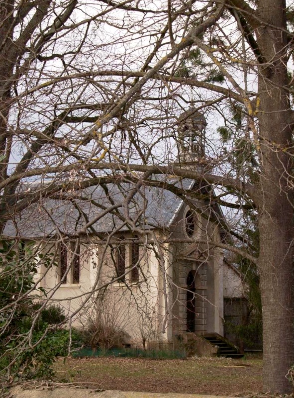 chapelle dans les arbres Louvar10