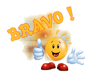 Pour Pedro62 Bravo-12